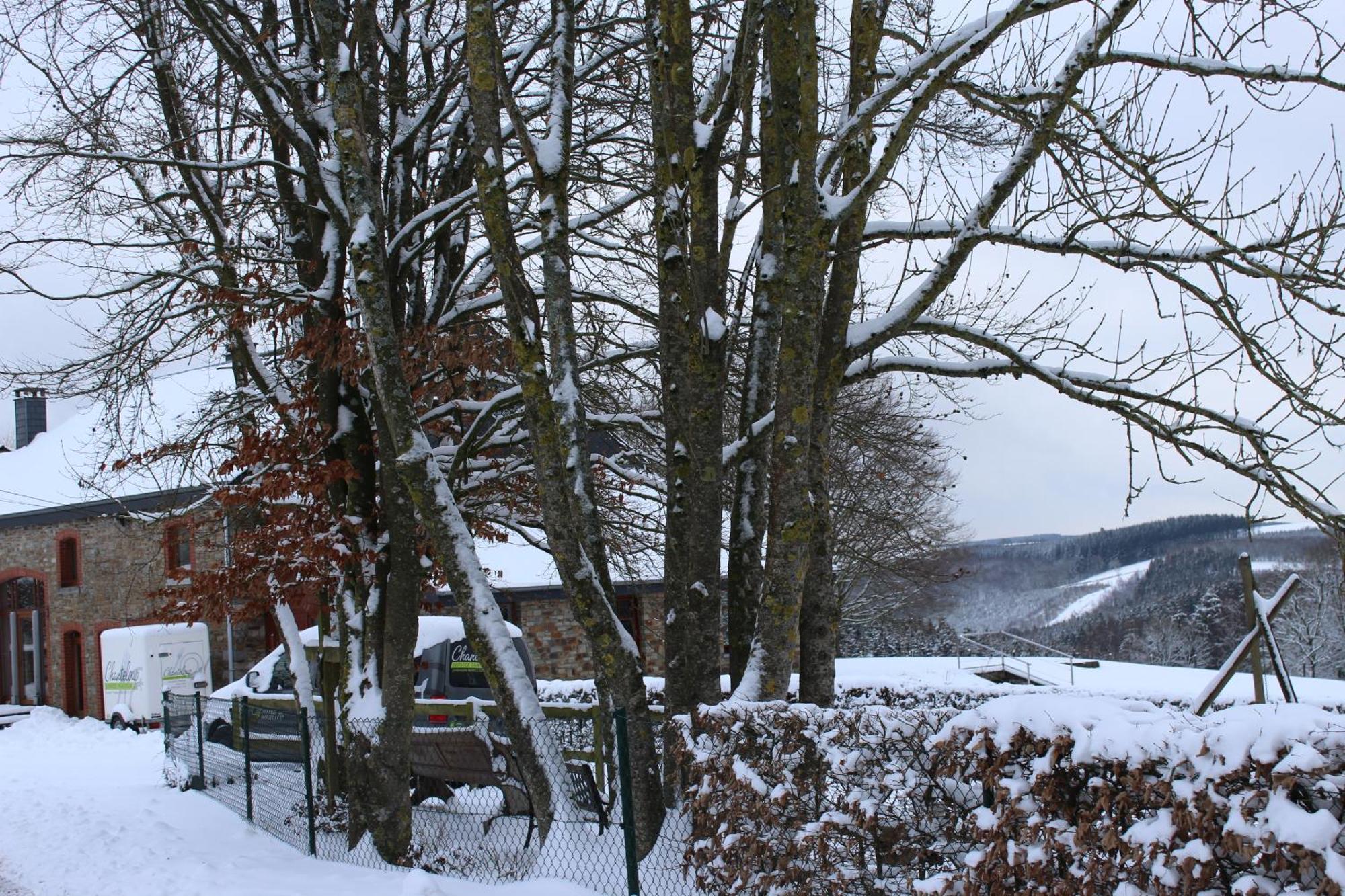 Chanteloup, Maison D'Hotes - Halleux Halleux  Kültér fotó